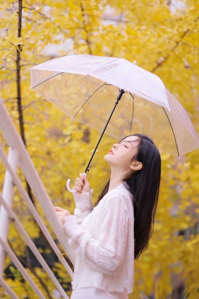 疯狂的石头